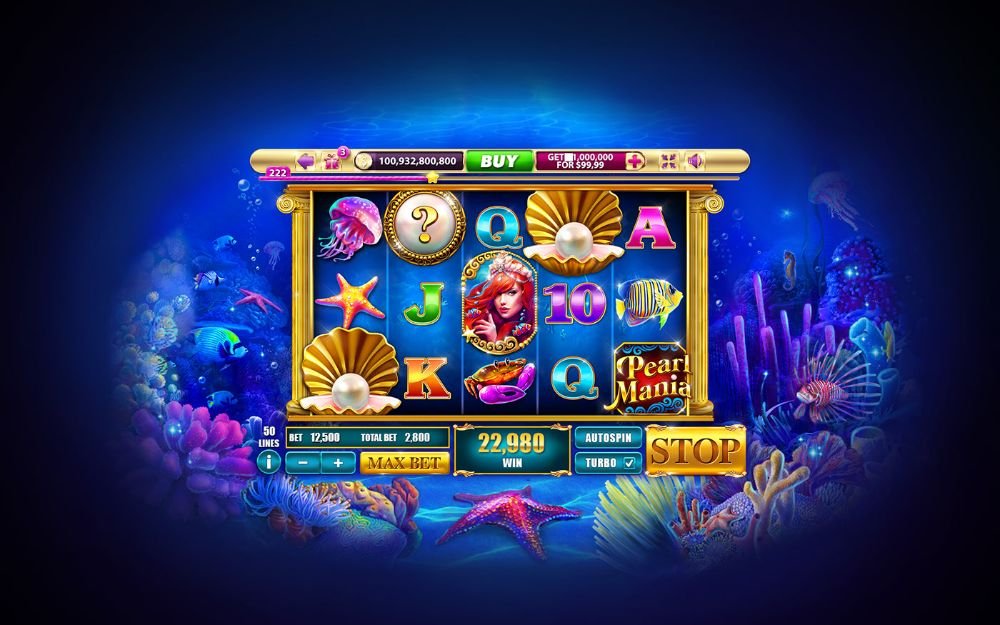 Dolphin Reef